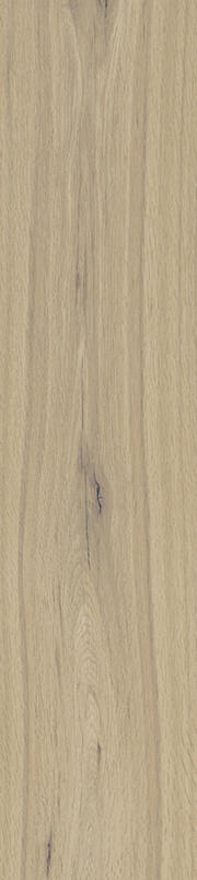 BASICS COLLECTION - Vienna