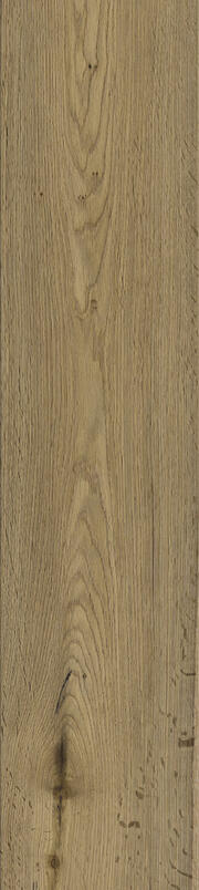 BASICS COLLECTION - Basel