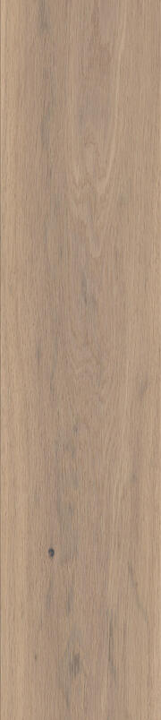 BASICS COLLECTION - Paris