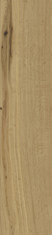 BASICS COLLECTION - Hamburg